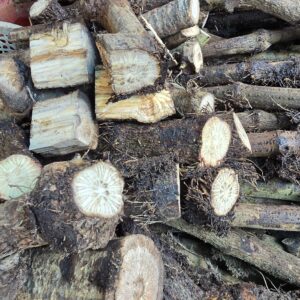 বাগেরহাটের দেশি চুইঝাল